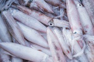 Calamares frescos apilados